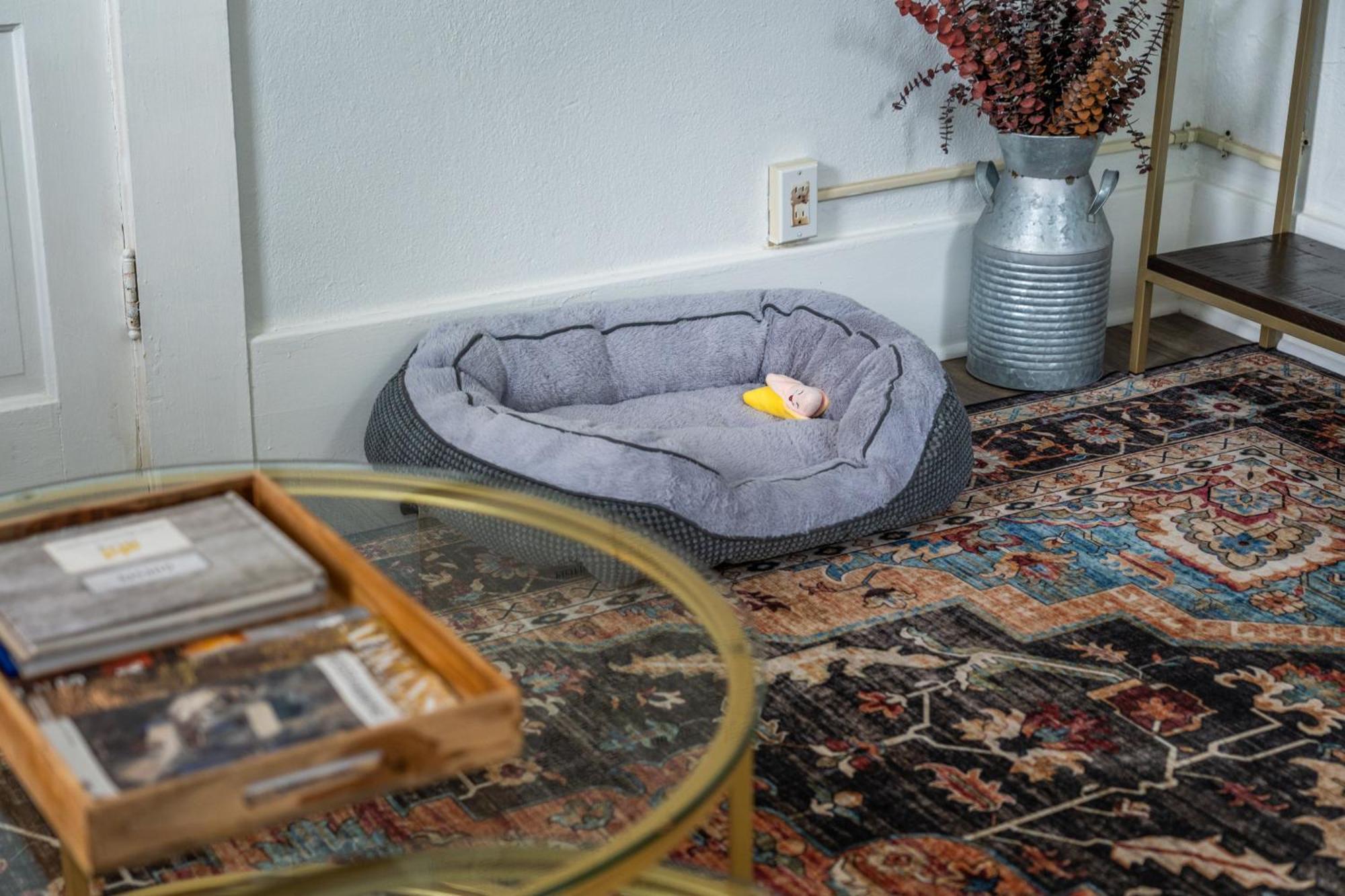 Cedar Blossom Bungalow Is A Cozy Getaway With A 5 Minute Walk To Downtown! Hot Springs Buitenkant foto